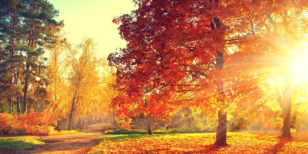 Why Have Natural Gas Prices Been So Low?