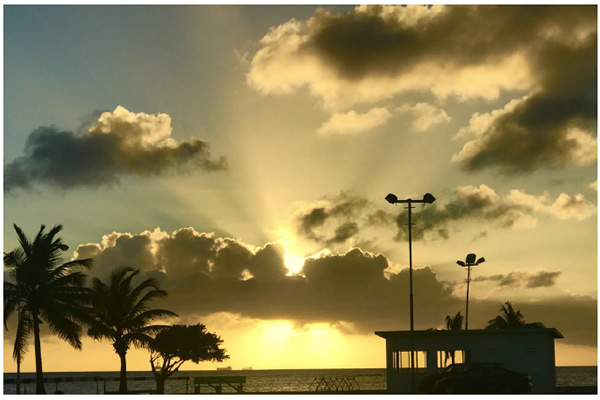 A New Year Blooms With Activity And Community Support At CES