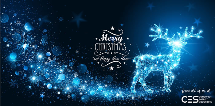 Merry Christmas and Happy New Year to All!